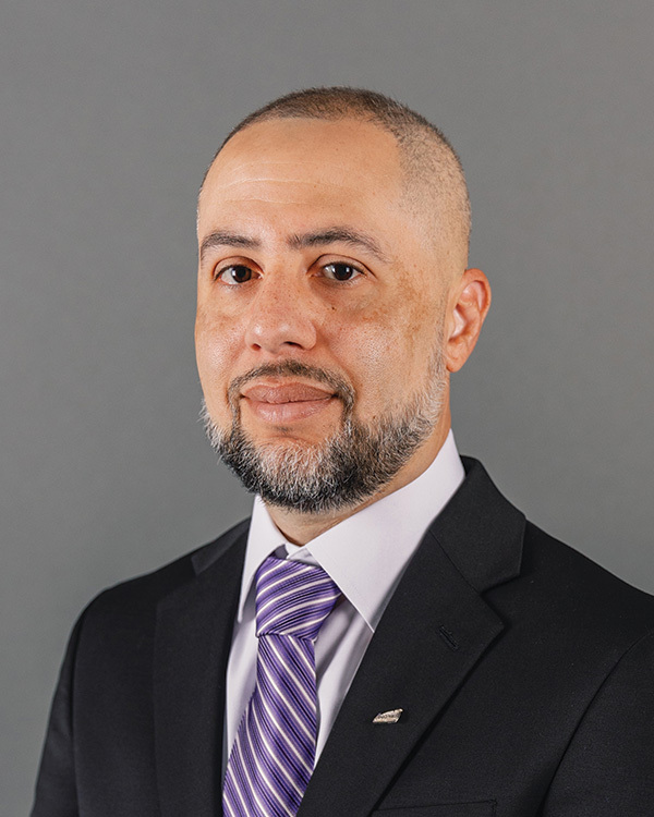Ray Guzman, Independent Corporate Director